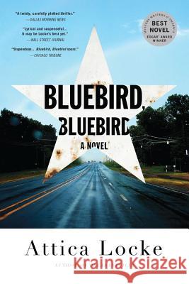 Bluebird, Bluebird Attica Locke 9780316363273 Mulholland Books