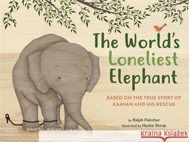 The World's Loneliest Elephant: Based on the True Story of Kaavan and His Rescue Ralph Fletcher Naoko Stoop 9780316364591