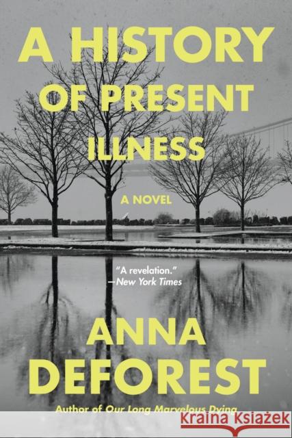 A History of Present Illness : A Novel Anna DeForest 9780316381161