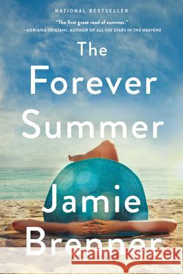 The Forever Summer Jamie Brenner 9780316394895