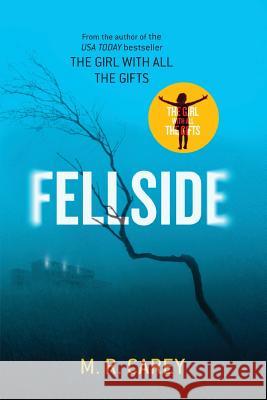 Fellside M. R. Carey 9780316395007 Orbit