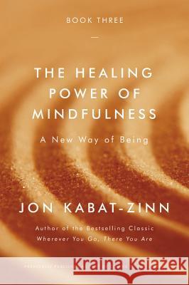 The Healing Power of Mindfulness: A New Way of Being Jon Kabat-Zinn 9780316411769