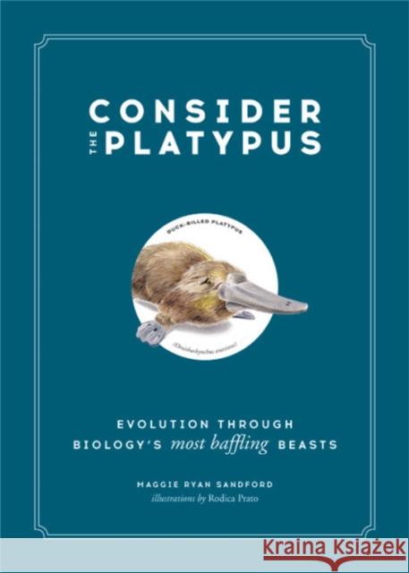 Consider the Platypus: Evolution Through Biology's Most Baffling Beasts Maggie Ryan Sandford Rodica Prato 9780316418393 Black Dog & Leventhal Publishers