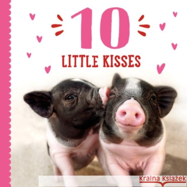 10 Little Kisses Taylor Garland 9780316420839 LB Kids
