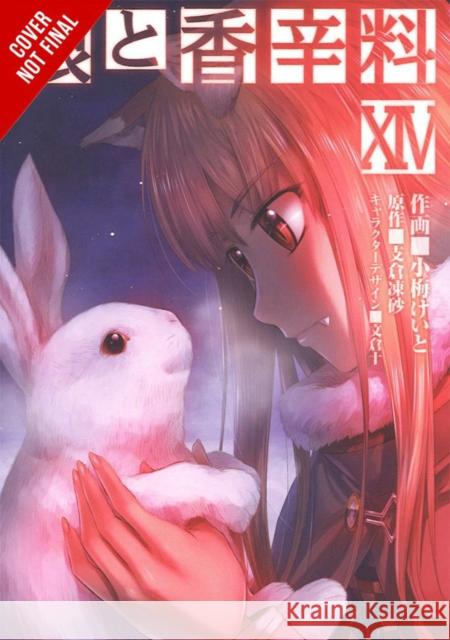 Spice and Wolf, Vol. 14 (Manga) Isuna Hasekura Keito Koume 9780316442657 Yen Press