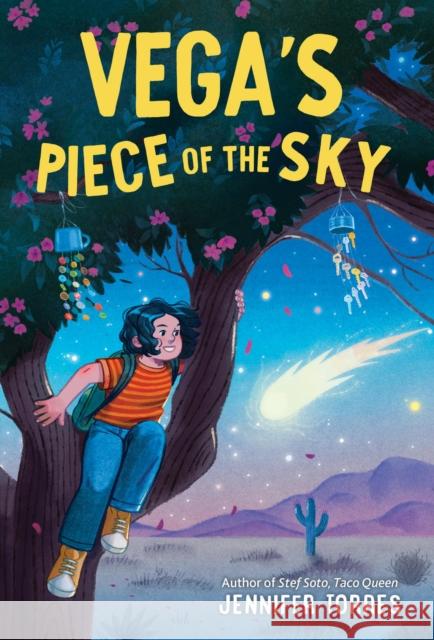 Vega's Piece of the Sky Jennifer Torres 9780316471367 Little, Brown Books for Young Readers