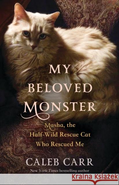 My Beloved Monster: Masha, the Half-wild Rescue Cat Who Rescued Me Caleb Carr 9780316503600 Little Brown and Company