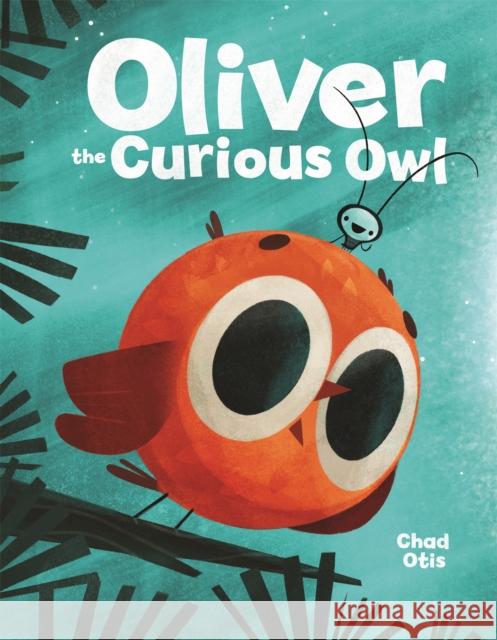 Oliver the Curious Owl Chad Otis 9780316529877 Little, Brown Books for Young Readers