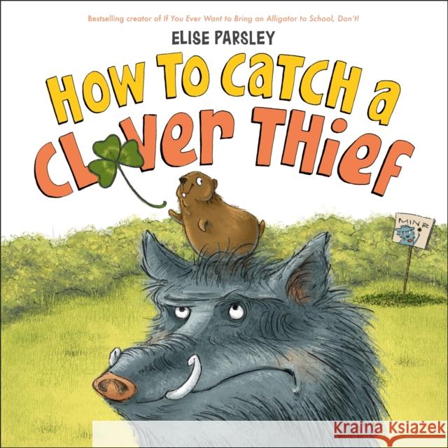 How to Catch a Clover Thief Elise Parsley 9780316534284