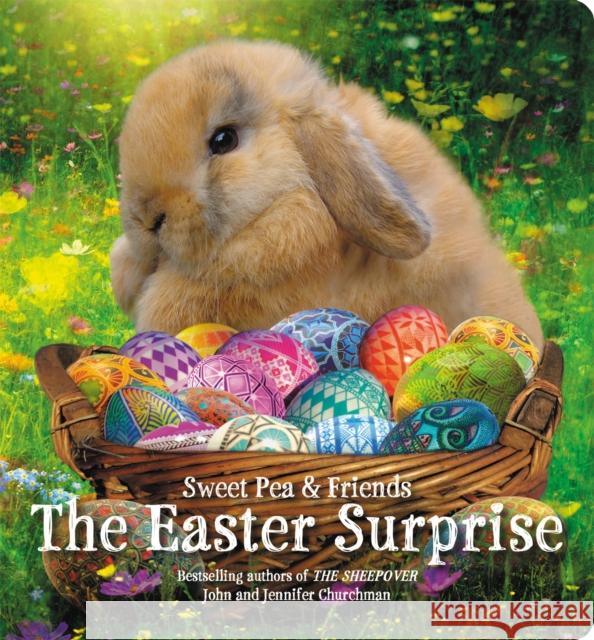 The Easter Surprise John Churchman 9780316538220 LB Kids