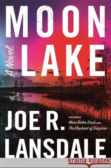 Moon Lake Joe R. Lansdale 9780316540643 Mulholland Books