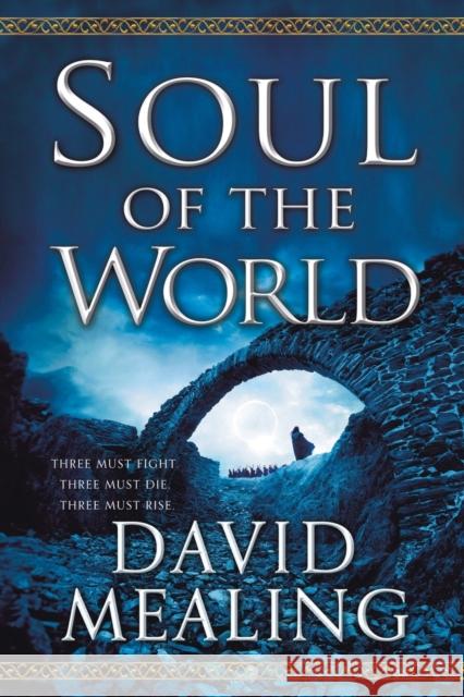 Soul of the World David Mealing 9780316552332 Orbit