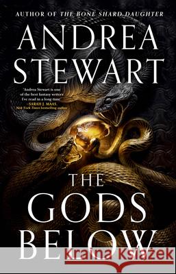 The Gods Below Andrea Stewart 9780316564892