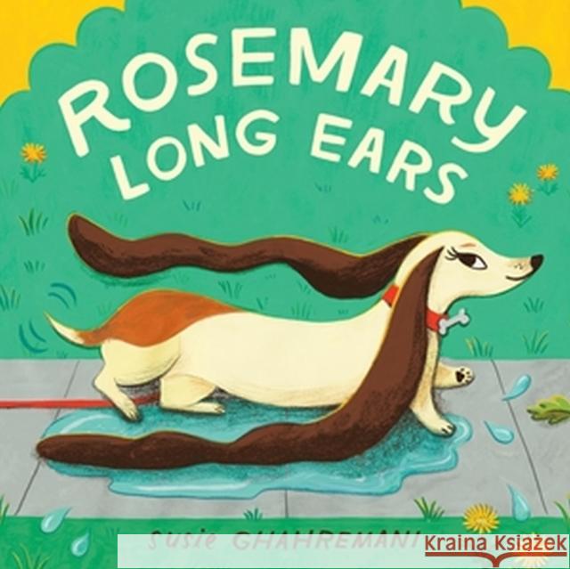 Rosemary Long Ears Susie Ghahremani 9780316573320