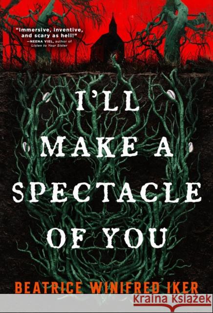 I'll Make A Spectacle of You Beatrice Winifred Iker 9780316575249 Run for It