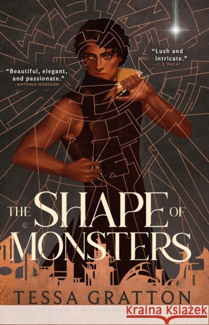 The Shape of Monsters Tessa Gratton 9780316578813