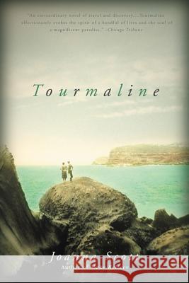 Tourmaline Joanna Scott 9780316608480 Back Bay Books