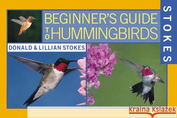 Stokes Beginner's Guide to Hummingbirds Donald Stokes Lillian Q. Stokes Thomas Young 9780316816953 Little Brown and Company