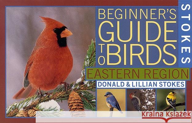 Stokes Beginner's Guide to Birds: Eastern Region Donald Stokes Lillian                                  Lillian Q. Stokes 9780316818117 Little Brown and Company