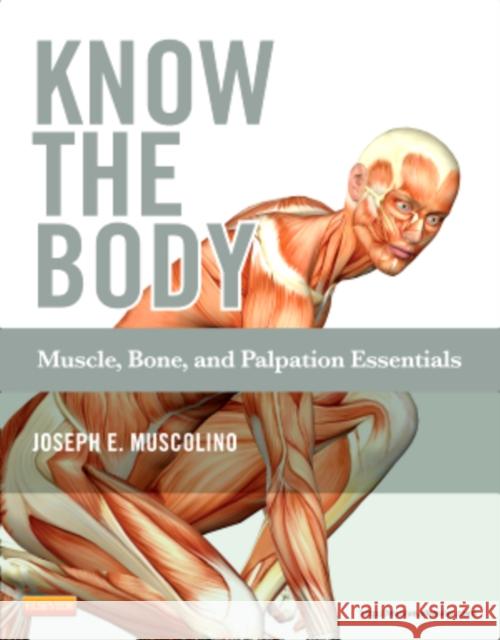 know the body: muscle, bone, and palpation essentials  Muscolino, Joseph E. 9780323086844 Elsevier