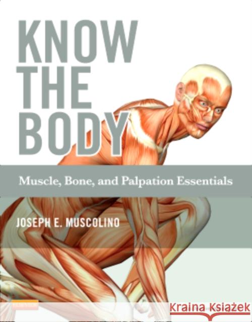 Know the Body: Muscle, Bone, and Palpation Essentials [With CDROM] Muscolino, Joseph E. 9780323086844 Elsevier