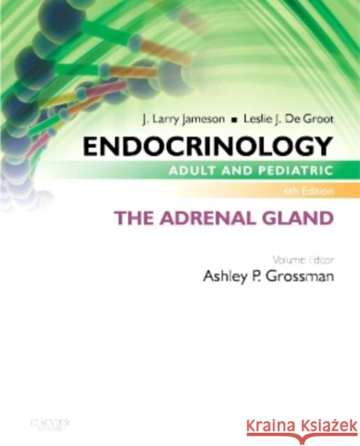 Endocrinology Adult and Pediatric: The Adrenal Gland Ashley B. Grossman J. Larry Jameson Leslie J. D 9780323240598