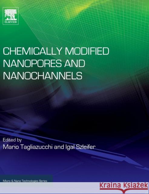 Chemically Modified Nanopores and Nanochannels Mario Tagliazucchi Igal Szleifer 9780323401821 William Andrew