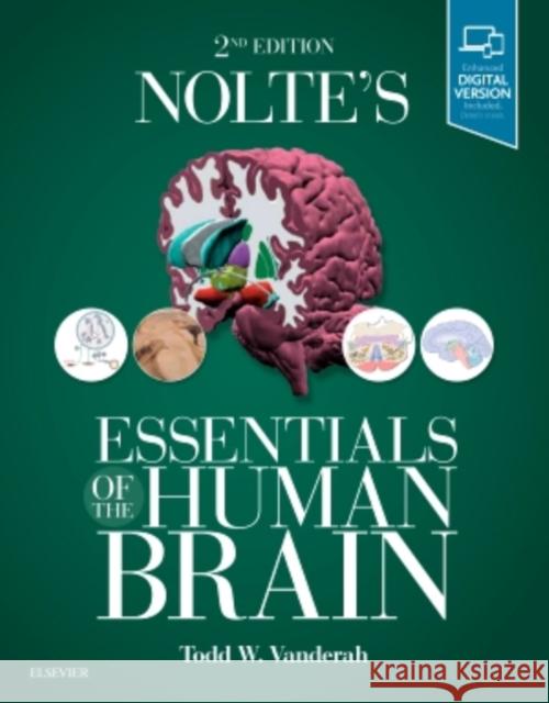 Nolte's Essentials of the Human Brain Vanderah, Todd 9780323529310