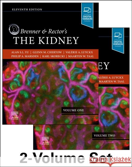 Brenner and Rector's the Kidney, 2-Volume Set Alan S. L. Yu Karl Skorecki Glenn M. Chertow 9780323532655 Elsevier