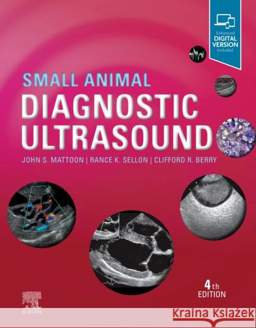 Small Animal Diagnostic Ultrasound Clifford Rudd, DVM (Courtesy Professor<br>SACS<br>University of Florida<br>Gainesville<br>FL<br><br>Academic Coordinator 9780323533379 Elsevier - Health Sciences Division