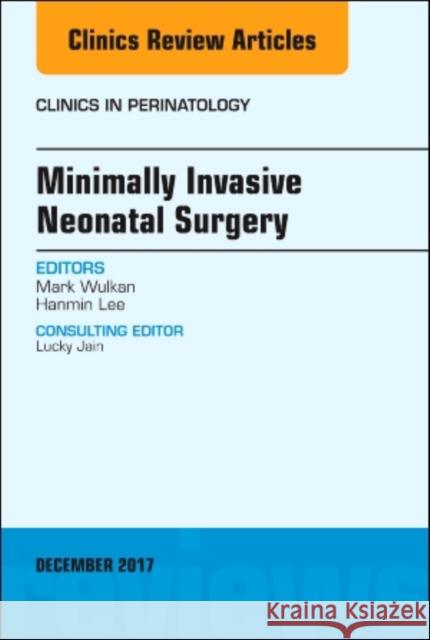 Minimally Invasive Neonatal Surgery, an Issue of Clinics in Perinatology: Volume 44-4 Lee, Hanmin 9780323552929 Elsevier