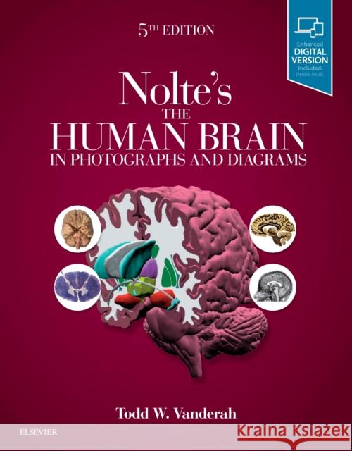 Nolte's the Human Brain in Photographs and Diagrams Vanderah, Todd 9780323598163