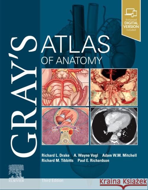 Gray's Atlas of Anatomy Richard Drake A. Wayne Vogl Adam W. M. Mitchell 9780323636391 Churchill Livingstone