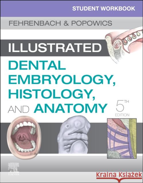 Student Workbook for Illustrated Dental Embryology, Histology and Anatomy Margaret J. Fehrenbach 9780323639903 Saunders