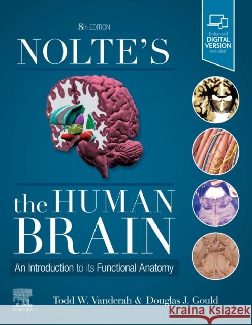 Nolte's The Human Brain: An Introduction to its Functional Anatomy Douglas J. (Distinguished Professor and Chair, Dept of Foundational Medical Studies, Oakland University William Beaumont 9780323653985 Elsevier