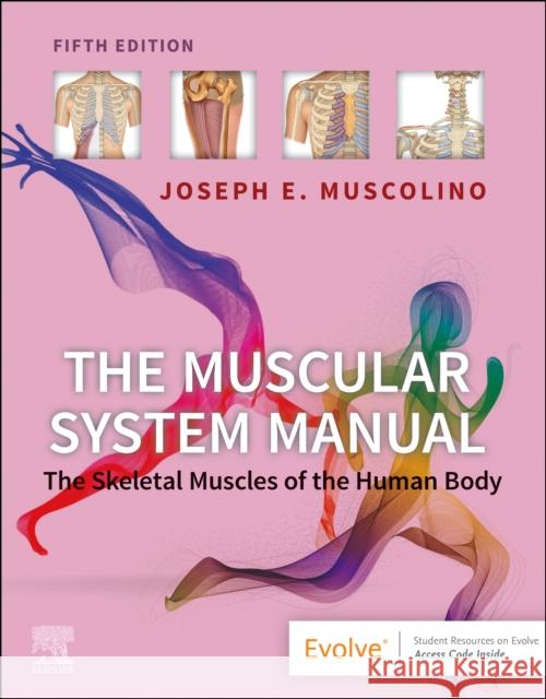 The Muscular System Manual: The Skeletal Muscles of the Human Body Joseph E. Muscolino 9780323812757 Elsevier - Health Sciences Division