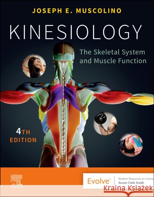 Kinesiology: The Skeletal System and Muscle Function Joseph E. Muscolino 9780323812764 Elsevier - Health Sciences Division