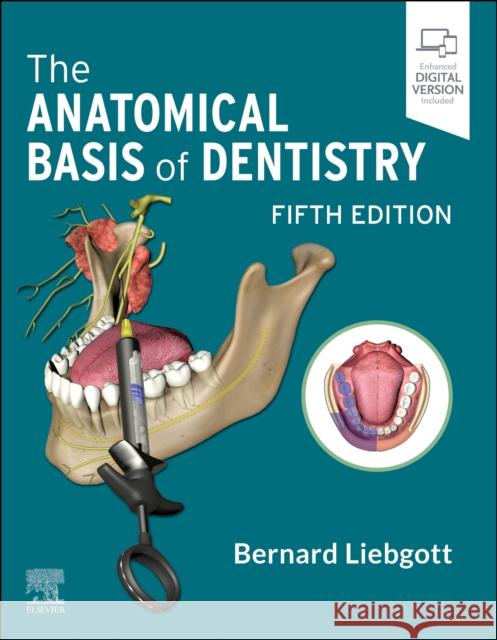 The Anatomical Basis of Dentistry Bernard (Professor Emeritus, Department of Surgery, Division of Anatomy, Faculty of Medicine, Faculty of Dentistry, Univ 9780323824057