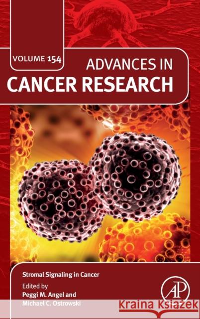Stromal Signaling in Cancer: Volume 154 Angel, Peggi 9780323854238 Academic Press