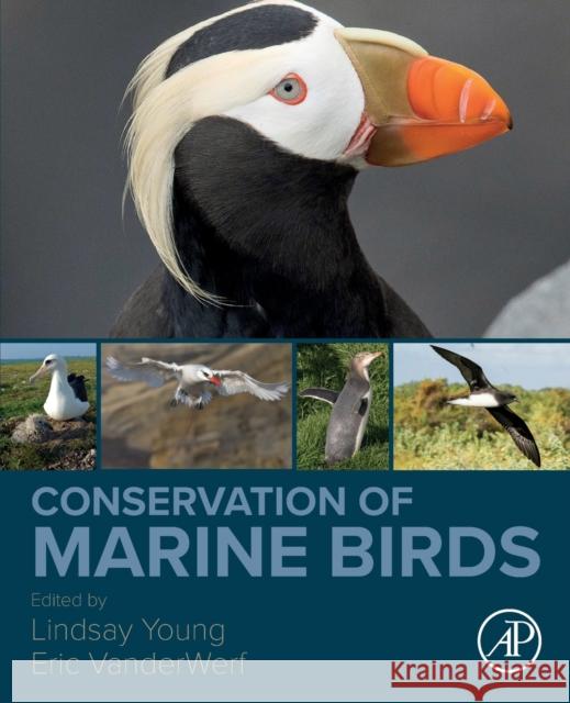 Conservation of Marine Birds Lindsay Young Eric VanderWerf 9780323885393