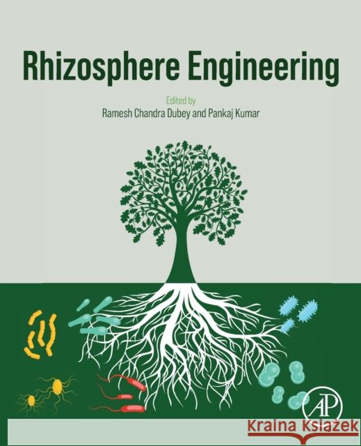 Rhizosphere Engineering Ramesh Chandra Dubey Pankaj Kumar 9780323899734