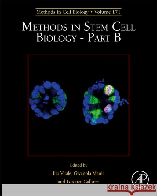 Methods in Stem Cell Biology - Part B: Volume 171 Vitale, Ilio 9780323900188 Elsevier Science & Technology