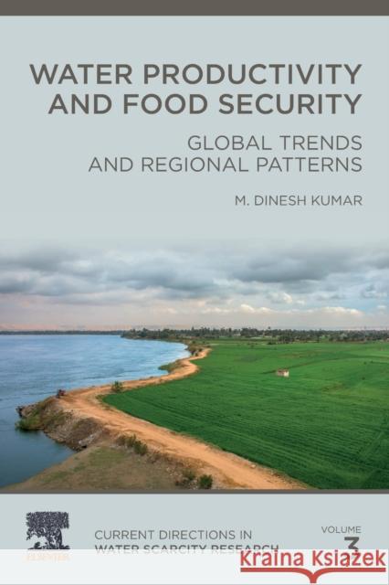 Water Productivity and Food Security: Global Trends and Regional Patterns Volume 3 Kumar, M. Dinesh 9780323912778