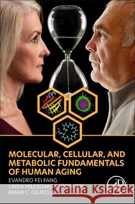 Molecular, Cellular, and Metabolic Fundamentals of Human Aging Evandro Fei Fang Linda Hildegard Bergersen Brian C. Gilmour 9780323916172 Academic Press