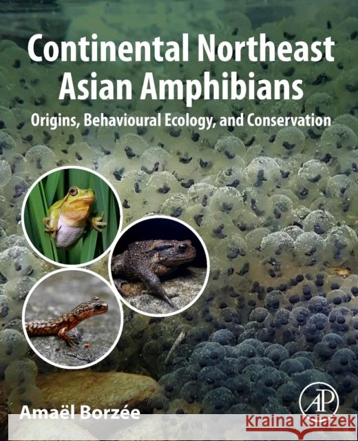 Continental Northeast Asian Amphibians: Origins, Behavioral Ecology, and Conservation Ama?l Borz?e 9780323918572 Academic Press