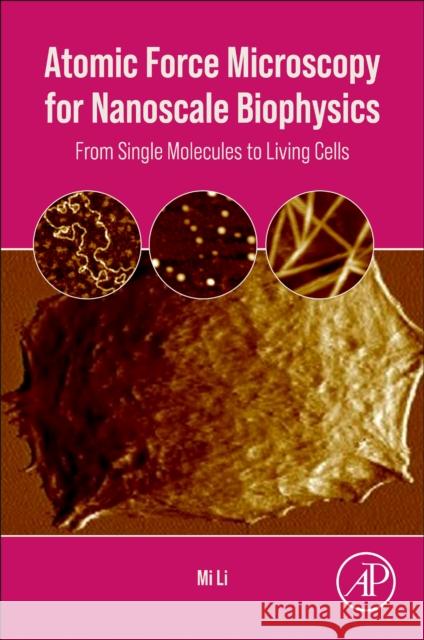 Atomic Force Microscopy for Nanoscale Biophysics: From Single Molecules to Living Cells Li, Mi 9780323953603 Elsevier Science & Technology