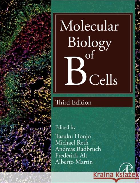 Molecular Biology of B Cells  9780323958950 Elsevier Science & Technology