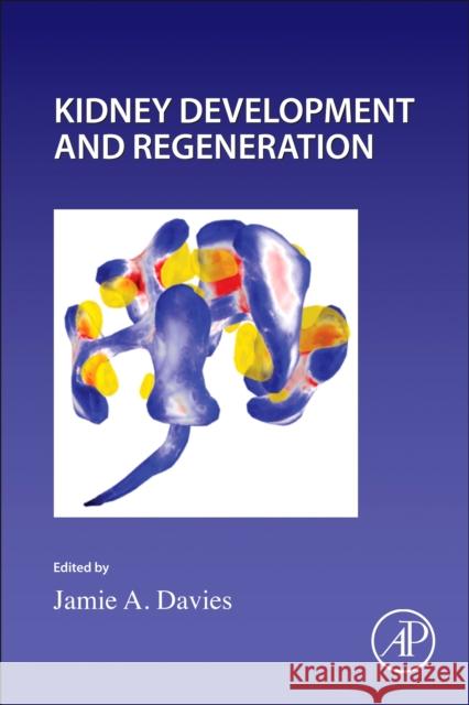 Kidney Development and Regeneration: Volume 163 Paul Wassarman Jamie Davies 9780323990035 Academic Press