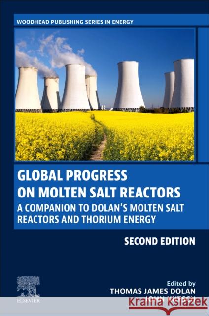 Global Progress on Molten Salt Reactors: A Companion to Dolan\'s Molten Salt Reactors and Thorium Energy Thomas James Dolan John Kutsch 9780323991292