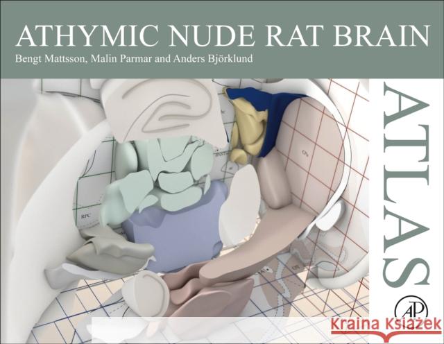 Athymic Nude Rat Brain Atlas Anders (Senior Professor, Developmental and Regenerative Neurobiology and Head, Neurobiology Unit, Wallenberg Neuroscien 9780323997409 Elsevier Science & Technology